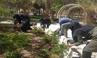 کاشت نهال گل در فضای سبز دانشکده پزشکی به مناسبت روز درختکاری