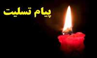 پیام تسلیت رییس دانشگاه به مناسبت حادثه درگذشت همکار ارجمند "مرحوم مغفور شهرکی" مسئول حراست شبکه هیرمند 