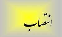 انتصاب جناب آقای دکتر  محمد خمرنیا به عنوان سرپرست مدیریت امور فرهنگی و فوق برنامه دانشگاه