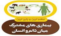 بیماری های دام و انسان کدامند؟ تا چه اندازه در خطر هستیم و برای پیشگیری چه کنیم؟