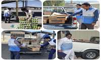 افزایش نظارت‌ و بازرسی‌ مرکز بهداشت زاهدان بر واحدهای صنفی و انبارهای نگهداری مواد غذایی