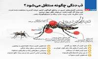 تب دنگی چگونه منتقل می شود؟