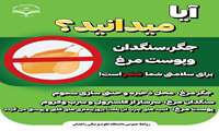آیا می دانید جگر و سنگدان و پوست مرغ برای سلامتی شما مضر است؟
