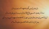 بازدید رئیس کمیته بهداشت و درمان ستاد اربعین حسینی علیه السلام از پایانه مرزی میرجاوه