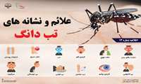 علائم و نشانه های تب دانگ