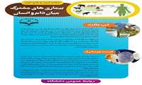 راههای پیشگیری از اچ آی وی