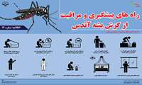 راههای پیشگیری از گزش  پشه آئدس 