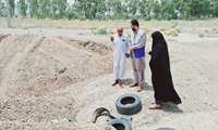 خود مراقبتی و بهسازی محیط، مهم ترین روش کنترل و مقابله با پشه آئدس
