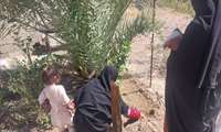 ترویج اصول تغذیه سالم با آموزش سبزیکاری در سوران به عنوان کاندید شهر سالم در یونسکو