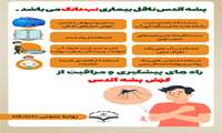 راه های پیشگیری و مراقبت از گزش پشه آئدس