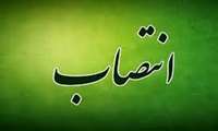 انتصاب جناب آقای دکتر مهدی سرحدی بعنوان سرپرست مدیریت امورپشتیبانی و رفاهی دانشگاه