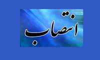 سرپرست معاونت آموزشی دانشگاه منصوب شد