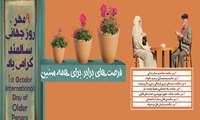 ارتقاء شاخص سواد سلامت در بین دانش اموختگان دانشگاه نسل سوم
