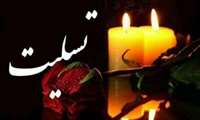 درگذشت ناگهانی همکار محترم و فرهیخته دکتر شروین روغنی