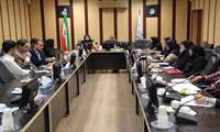 حمایت های غذایی از مادران باردار نیازمند با مشارکت بنیاد علوی و دانشگاه علوم پزشکی زاهدان ...بر خورداری 200 مادر باردار نیازمند از حمایت های غذایی در مناطق روستایی 