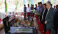 اعضای هیئت رئیسه ، روساي دانشكده ها ومدیران دانشگاه علوم پزشکی زاهدان اولین روز نوروز 1397  به دیدار آلاله ها رفتند