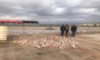 عملیات حصار کشی بیمارستان 540 تختخوابی زاهدان 