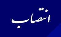 معاون توسعه مدیریت منابع و برنامه ریزی دانشگاه منصوب شد