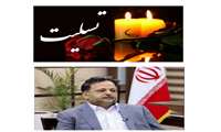 مجموعه پیامهای تسلیت در پی درگذشت دکتر محمد نعیم امینی فرد نماینده مردم ایرانشهر،دلگان وسرباز و عضو هیات علمی دانشگاه علوم پزشکی زاهدان 