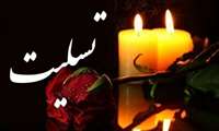 همکار ارجمند جناب آقای محمود اسحاقی نژاد،