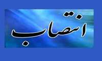 انتصاب همکار محترم جناب آقای ناصر سرگلزایی مقدم به عنوان سرپرست مدیریت حراست دانشگاه علوم پزشکی زاهدان 