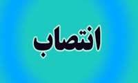 انتصاب جناب آقای دکتر قاسم میری علی آباد به  عنوان سرپرست معاون درمان دانشگاه 
