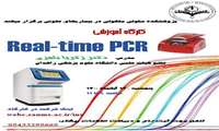 برگزاری کارگاه آموزشی Real-Time PCR