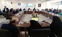 وفاق و همدلی سازمان های بیمه گر با بخش های بهداشت ودرمان دانشگاه علوم پزشکی زاهدان در مسیر اجرایی پرونده الکترونیک سلامت